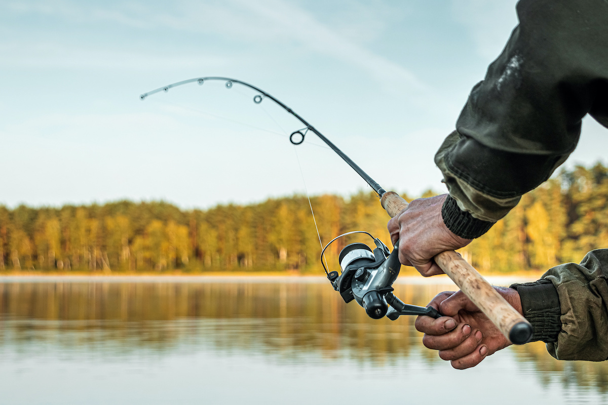 Fishing Rod Tips